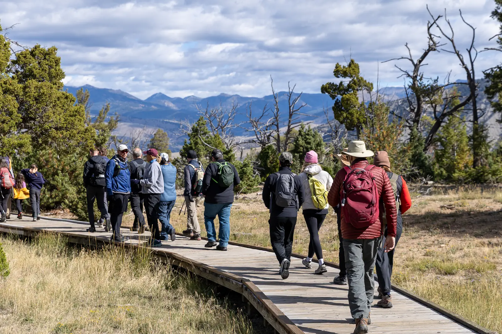 Retreat members walking a boardwalk toward the mountains at Mammoth Hot Springs, Yellowstone