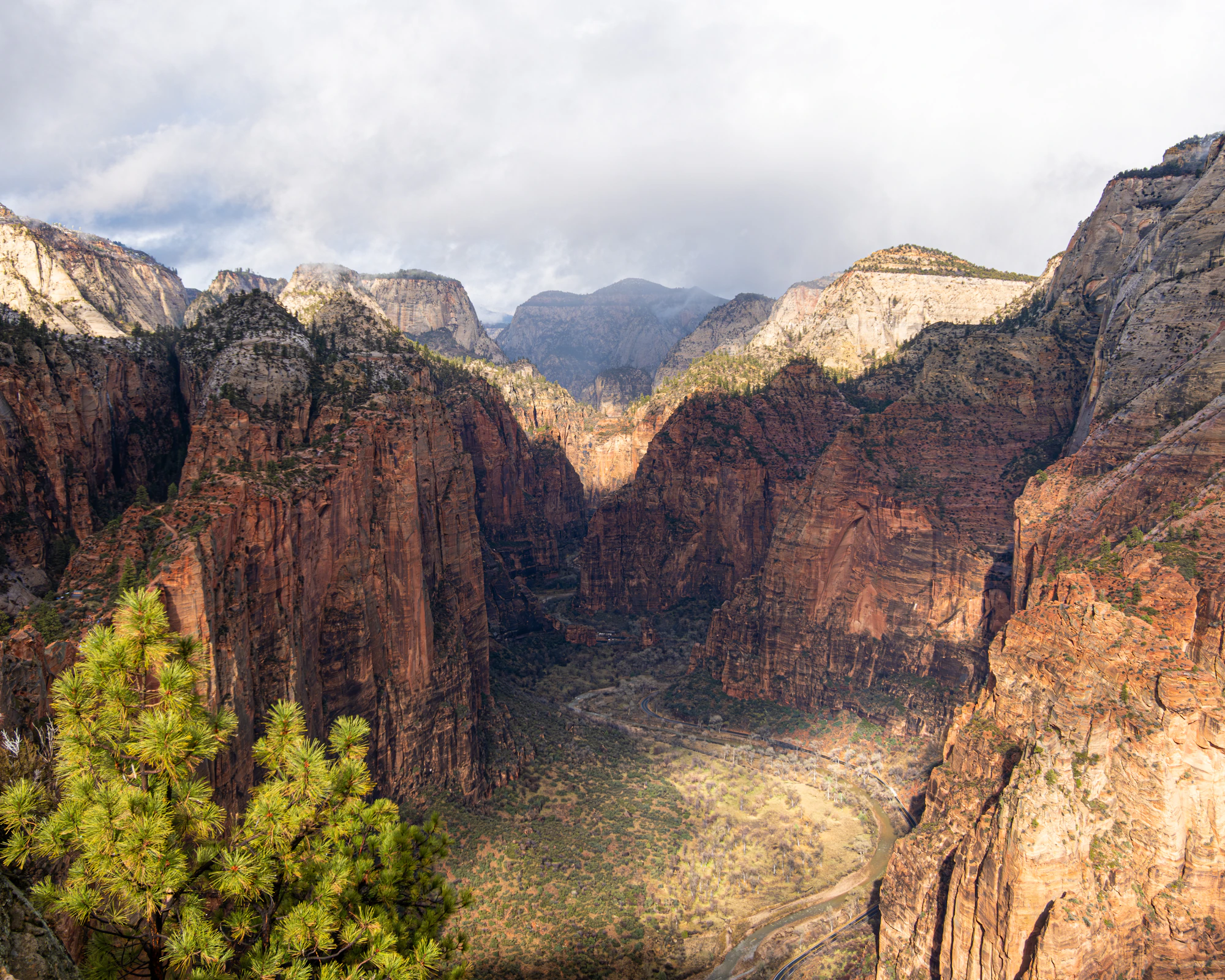 Sunlight illuminates sandstone cliffs above the winding Virgin River in Zion Canyon, Utah