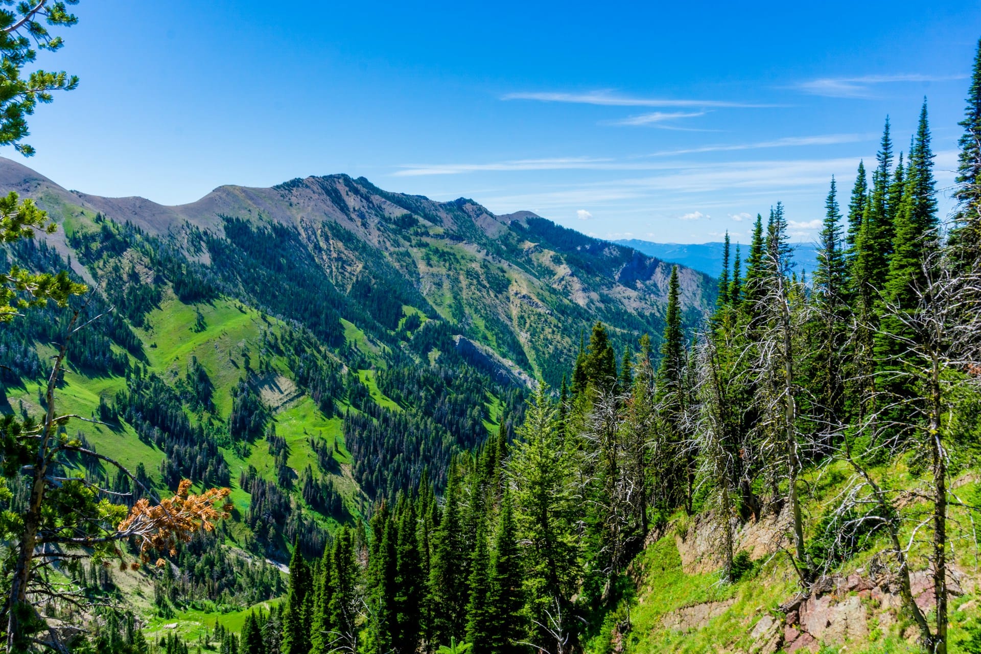 Forested ridgeline in the mountains near Bozeman, Montana
