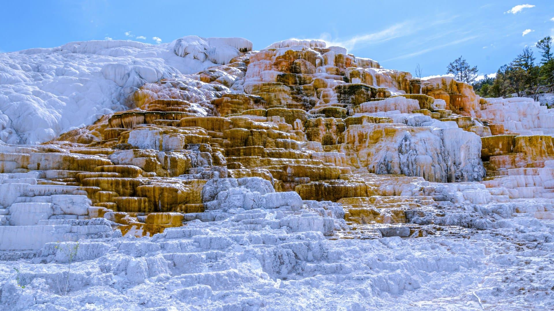 Travertine terraces at Mammoth Hot Springs, Yellowstone