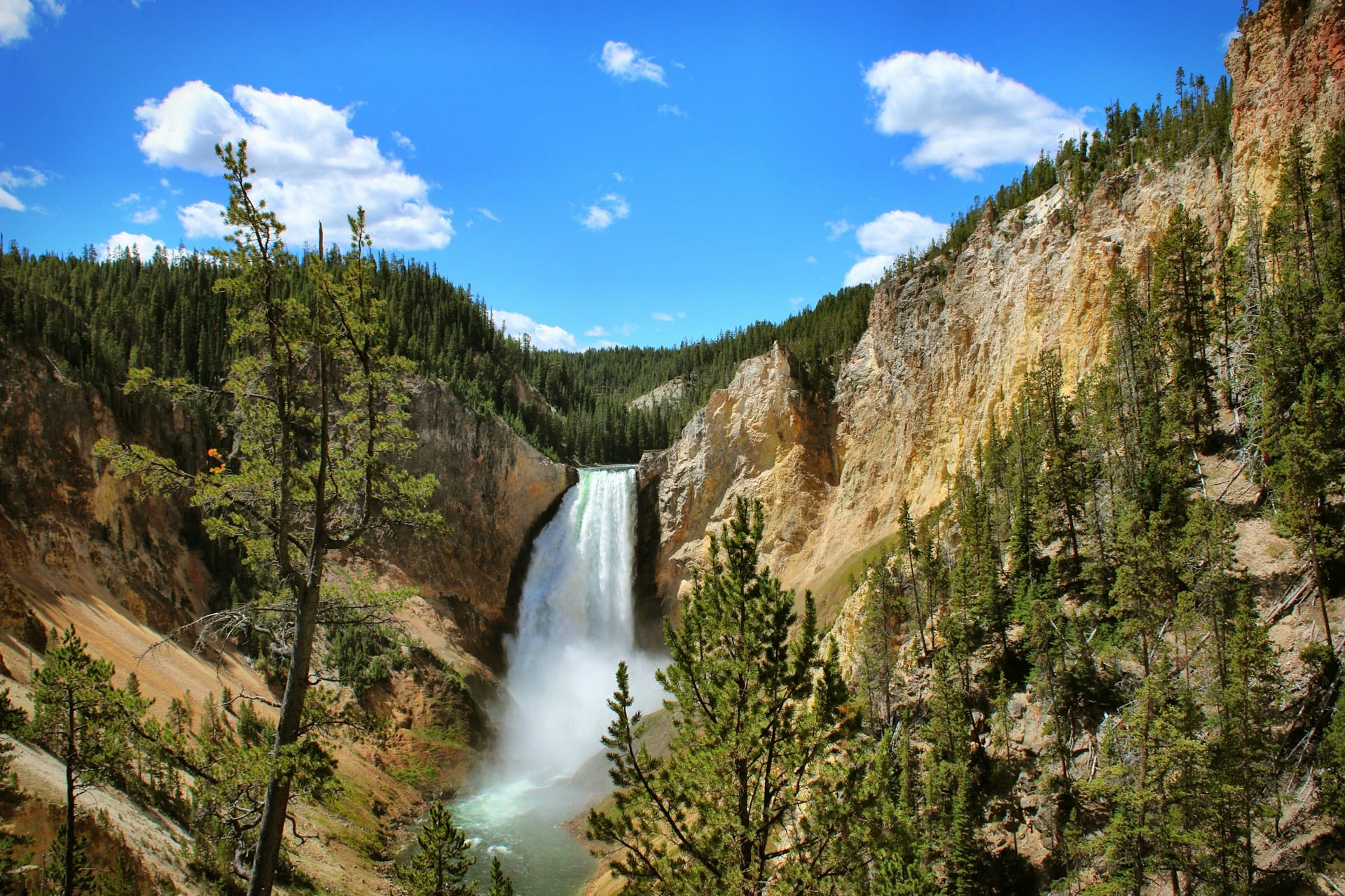 Waterfall in a forested canyon in Yellowstone National Park